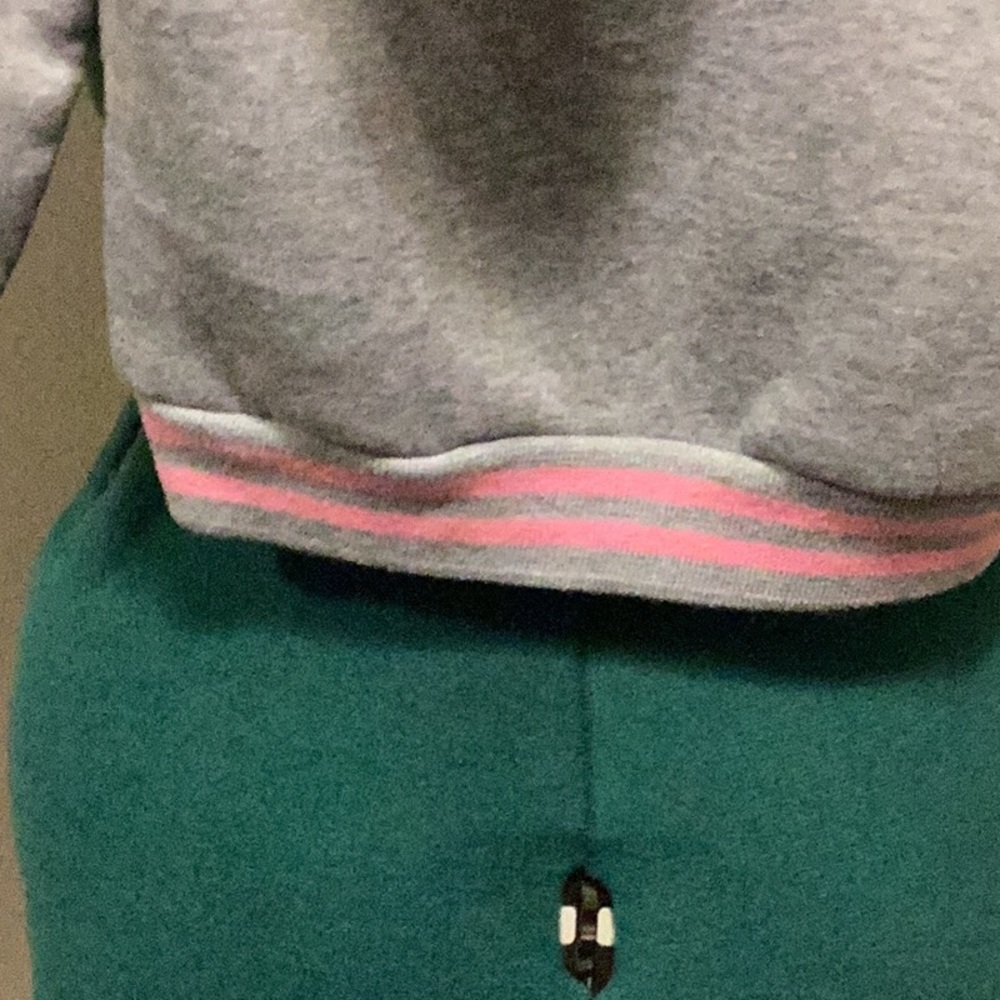 Coney Island 4T Pink& Gray Hoodie Princess Carter’s floral pants, West Coast T - Picture 7 of 16